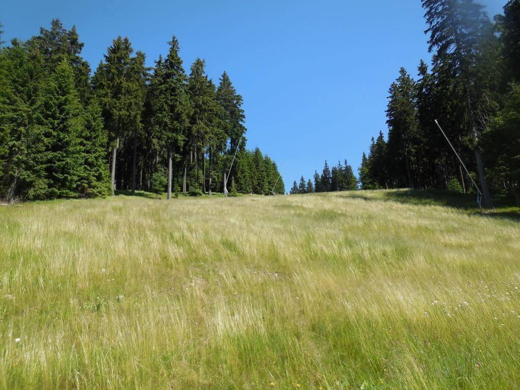 Penzion Alenka Špindlerŭv Mlýn Exterior foto